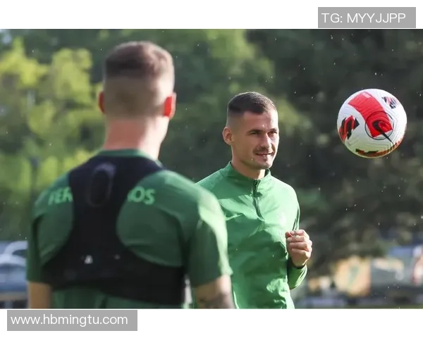 费伦茨瓦罗斯与佐加顿斯对决前瞻及战术分析探讨